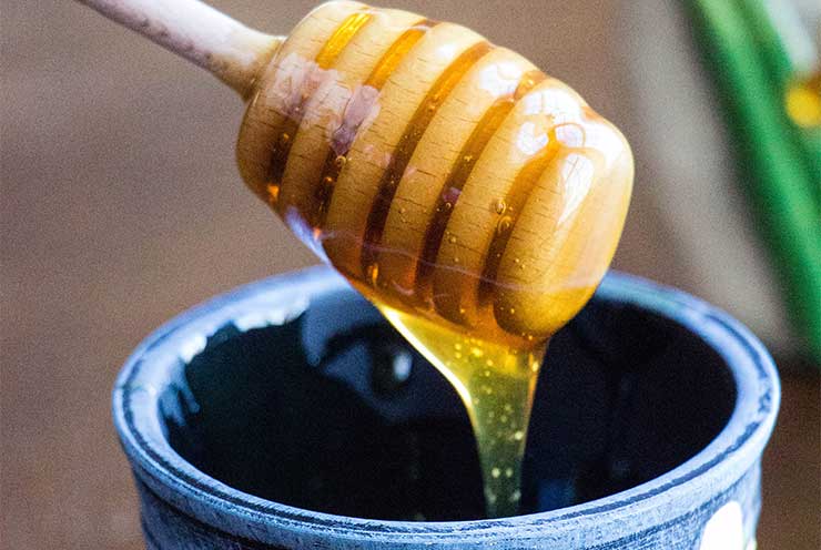 honeycropped
