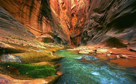 Zion National Park